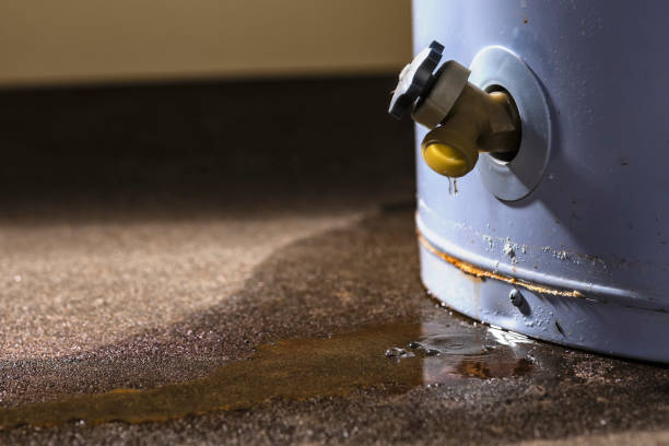 Best Water damage restoration cost  in Sycamore, GA