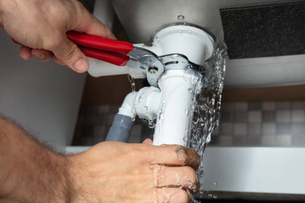 Best Water damage cleanup near me  in Sycamore, GA