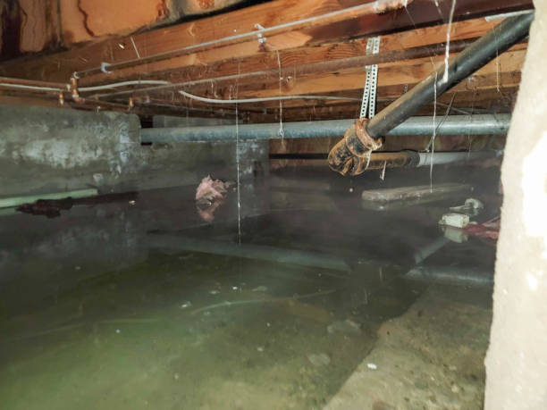 Best Water damage restoration near me  in Sycamore, GA