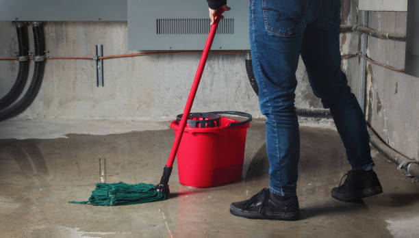 Best Residential water damage restoration  in Sycamore, GA