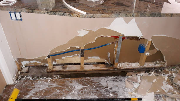 Best Local water damage restoration  in Sycamore, GA