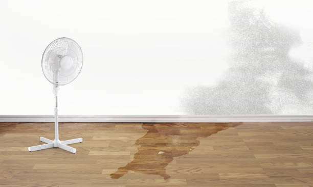 Best Flood restoration services  in Sycamore, GA