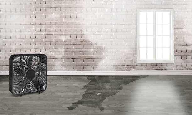 Best Commercial water damage restoration  in Sycamore, GA