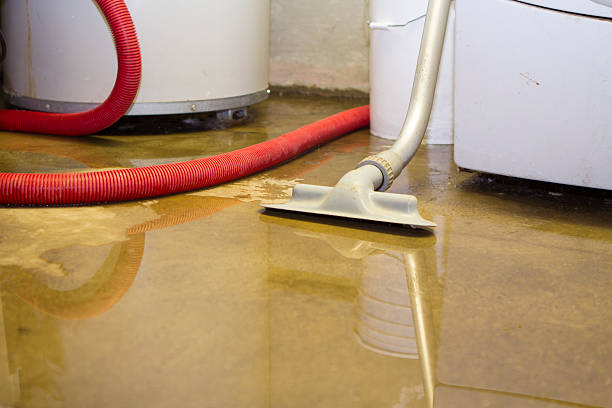 Best Local water damage restoration  in Sycamore, GA