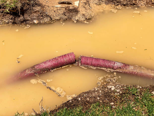 Best Sewage cleanup and water damage restoration  in Sycamore, GA