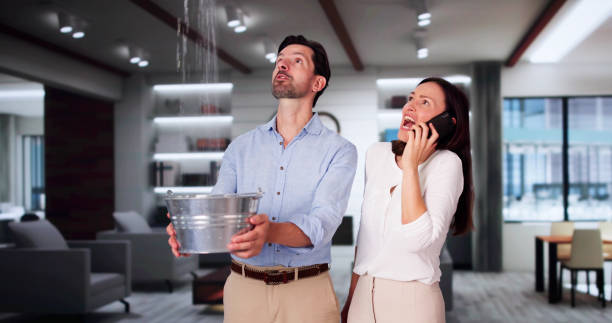 Best Water damage restoration specialists  in Sycamore, GA