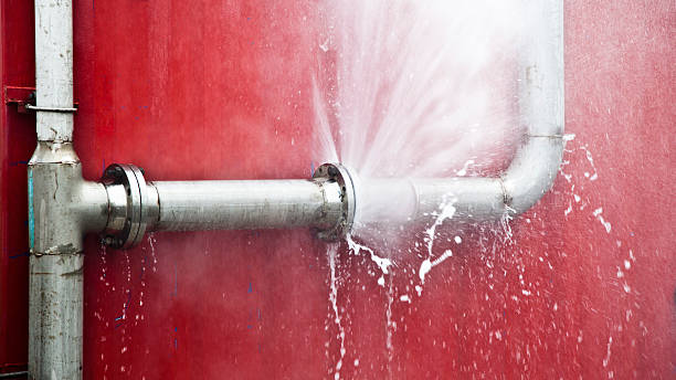 Best Water damage cleanup near me  in Sycamore, GA